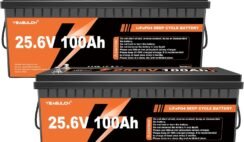 12V 300Ah LiFePO4 Battery 200A BMS 3840Wh Up to 6000+ Deep Cycle Lithium Iron Phosphate Battery Perfect for RV Camping Marine Solar Energy Storage Backup Power