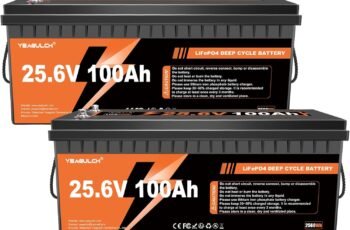 12V 300Ah LiFePO4 Battery 200A BMS 3840Wh Up to 6000+ Deep Cycle Lithium Iron Phosphate Battery Perfect for RV Camping Marine Solar Energy Storage Backup Power