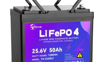 24V 50Ah Lithium Battery, Rechargeable LiFePO4 Battery with Built-in 50A BMS Board