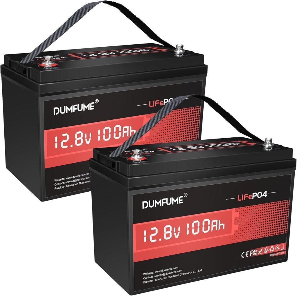 2 Pack 12V 100Ah LiFePO4 Lithium Battery 100A BMS, 6000+ Cycles, 1280Wh Group Rechargeable Battery High Energy Density, Ideal for RVs, and Off-Grid Applications