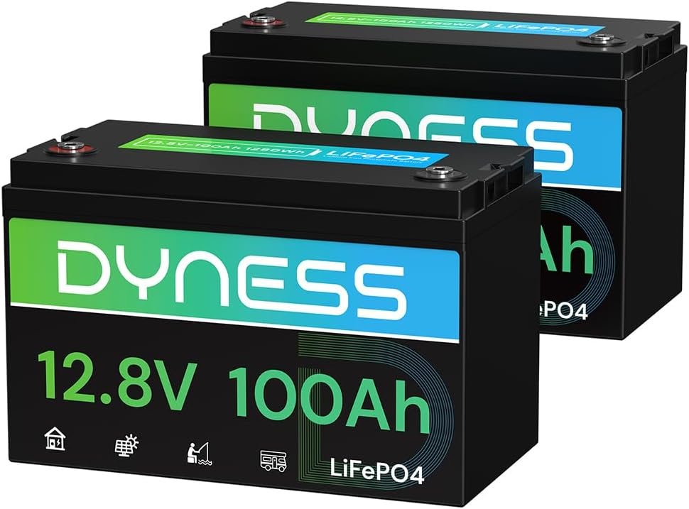 Dyness 12V 100Ah Mini LiFePO4 Battery Pack Group 24, Volt Deep Cycle Lithium Battery with 100A BMS, Low-Temp Protection Years Lifespan for RV, Boat, Trolling Motor, Solar Off-Grid, Golf Cart