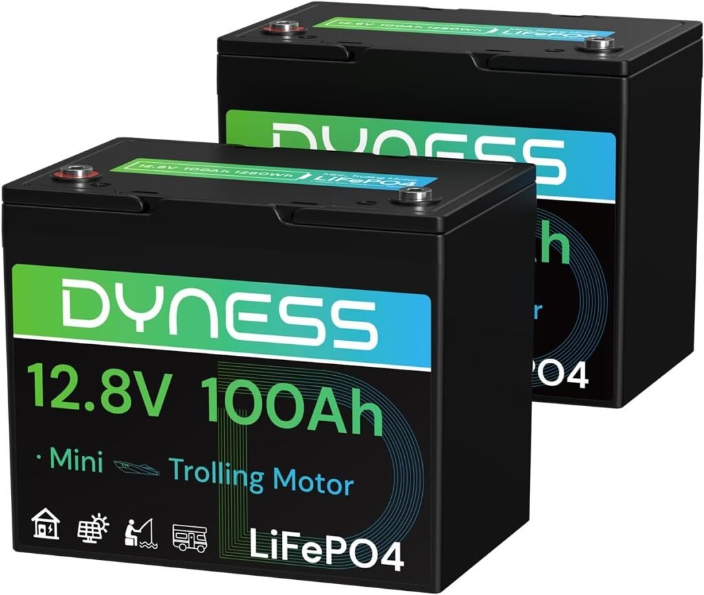 Dyness 12V 100Ah Mini LiFePO4 Battery Pack Group 24, Volt Deep Cycle Lithium Battery with 100A BMS, Low-Temp Protection Years Lifespan for RV, Boat, Trolling Motor, Solar Off-Grid, Golf Cart