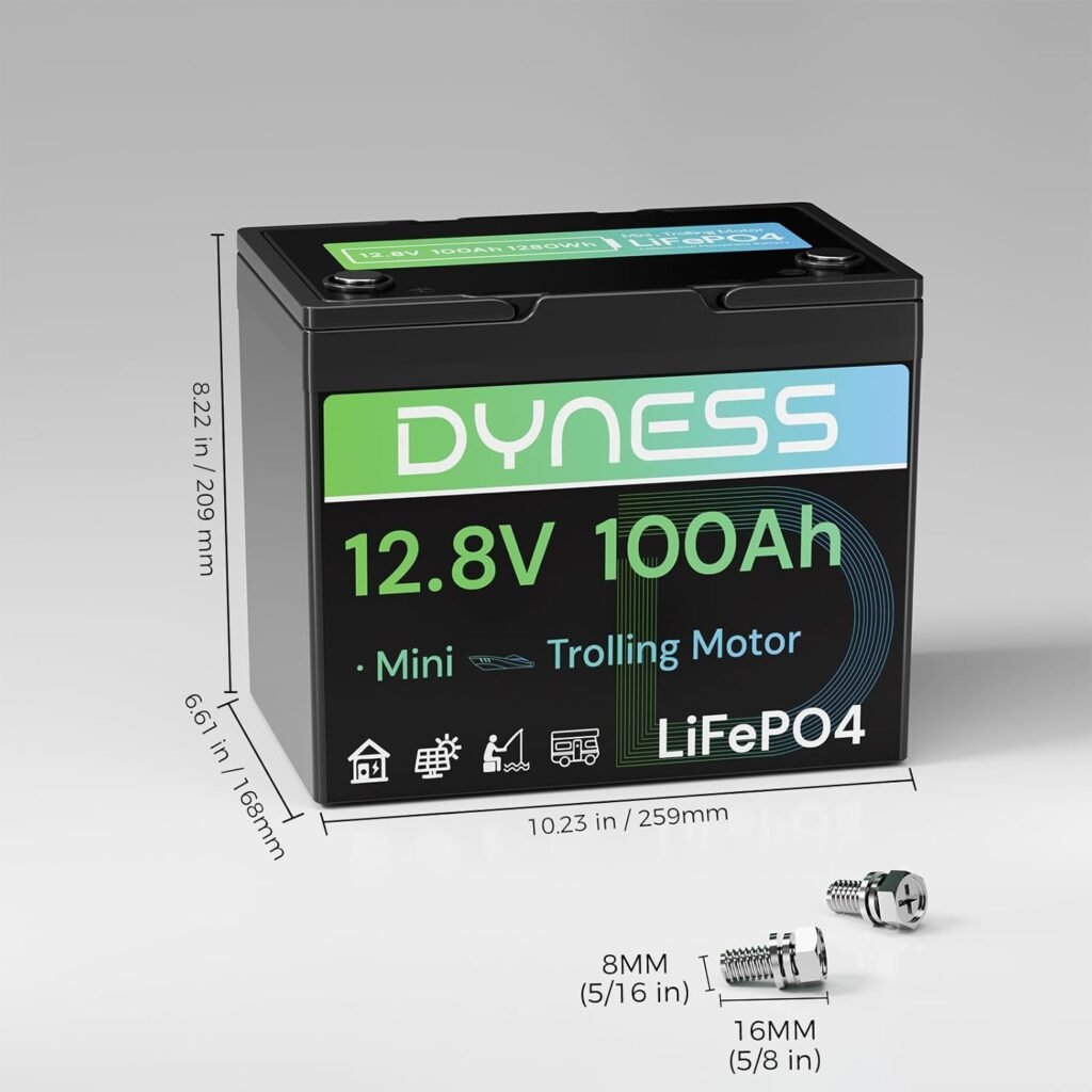 Dyness 12V 100Ah Mini LiFePO4 Battery Pack Group 24, Volt Deep Cycle Lithium Battery with 100A BMS, Low-Temp Protection Years Lifespan for RV, Boat, Trolling Motor, Solar Off-Grid, Golf Cart