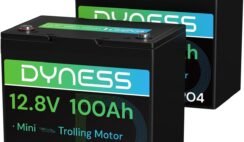 Dyness 12V 100Ah Mini LiFePO4 Battery 2 Pack Group 24, 12 Volt Deep Cycle Lithium Battery with 100A BMS, Low-Temp Protection & 10 Years Lifespan for RV, Boat, Trolling Motor, Solar Off-Grid, Golf Cart