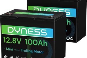 Dyness 12V 100Ah Mini LiFePO4 Battery 2 Pack Group 24, 12 Volt Deep Cycle Lithium Battery with 100A BMS, Low-Temp Protection & 10 Years Lifespan for RV, Boat, Trolling Motor, Solar Off-Grid, Golf Cart