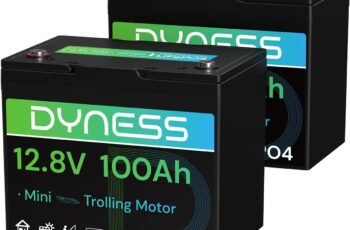 Dyness 12V 100Ah Mini LiFePO4 Battery 2 Pack Group 24, 12 Volt Deep Cycle Lithium Battery with 100A BMS, Low-Temp Protection & 10 Years Lifespan for RV, Boat, Trolling Motor, Solar Off-Grid, Golf Cart