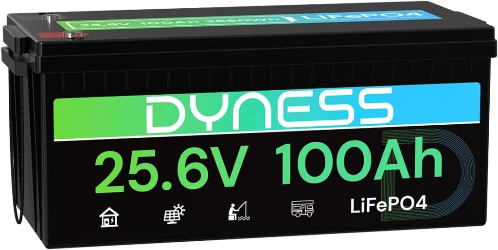 Dyness 12V 200Ah PLUS LiFePO4 Battery, Max. 2560Wh Power, 12.8V LiFePO4 Battery Upgrade 200A BMS with Low-Temp Protection, 4000+ Deep Cycles 12V Lithium Battery Perfect for RV, Solar System, Off-Grid Dyness 12V 200Ah PLUS LiFePO4 Battery, Max. 2560Wh Power, 12.8V LiFePO4 Battery Upgrade 200A BMS with Low-Temp Protection, 4000+ Deep Cycles 12V Lithium Battery Perfect for RV, Solar System, Off-Grid
