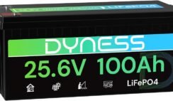 Dyness 12V 200Ah PLUS LiFePO4 Battery, Max. 2560Wh Power, 12.8V LiFePO4 Battery Upgrade 200A BMS with Low-Temp Protection, 4000+ Deep Cycles 12V Lithium Battery Perfect for RV, Solar System, Off-Grid