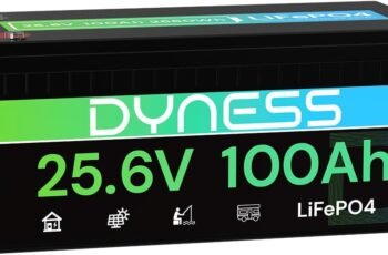 Dyness 12V 200Ah PLUS LiFePO4 Battery, Max. 2560Wh Power, 12.8V LiFePO4 Battery Upgrade 200A BMS with Low-Temp Protection, 4000+ Deep Cycles 12V Lithium Battery Perfect for RV, Solar System, Off-Grid