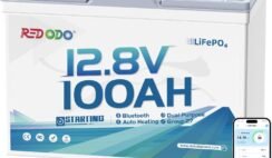 Redodo 2 Pack 12V 100Ah Group 24 LiFePO4 Battery, 1280Wh Deep Cycle with 100A BMS, 4000+ Cycles Lithium Rechargable Battery for All RVs, Van, Camper, Solar Power Storage, Off-Grid