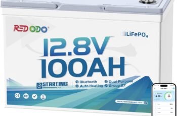 Redodo 2 Pack 12V 100Ah Group 24 LiFePO4 Battery, 1280Wh Deep Cycle with 100A BMS, 4000+ Cycles Lithium Rechargable Battery for All RVs, Van, Camper, Solar Power Storage, Off-Grid