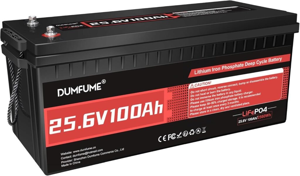 24V 100Ah LiFePO4 Battery, Built-in 100A BMS 24V Lithium Battery, Low Temperature Protection,2560W Power Output, Up to 15000+ Cycles, Ideal for RV, and Solar Off-Grid Systems